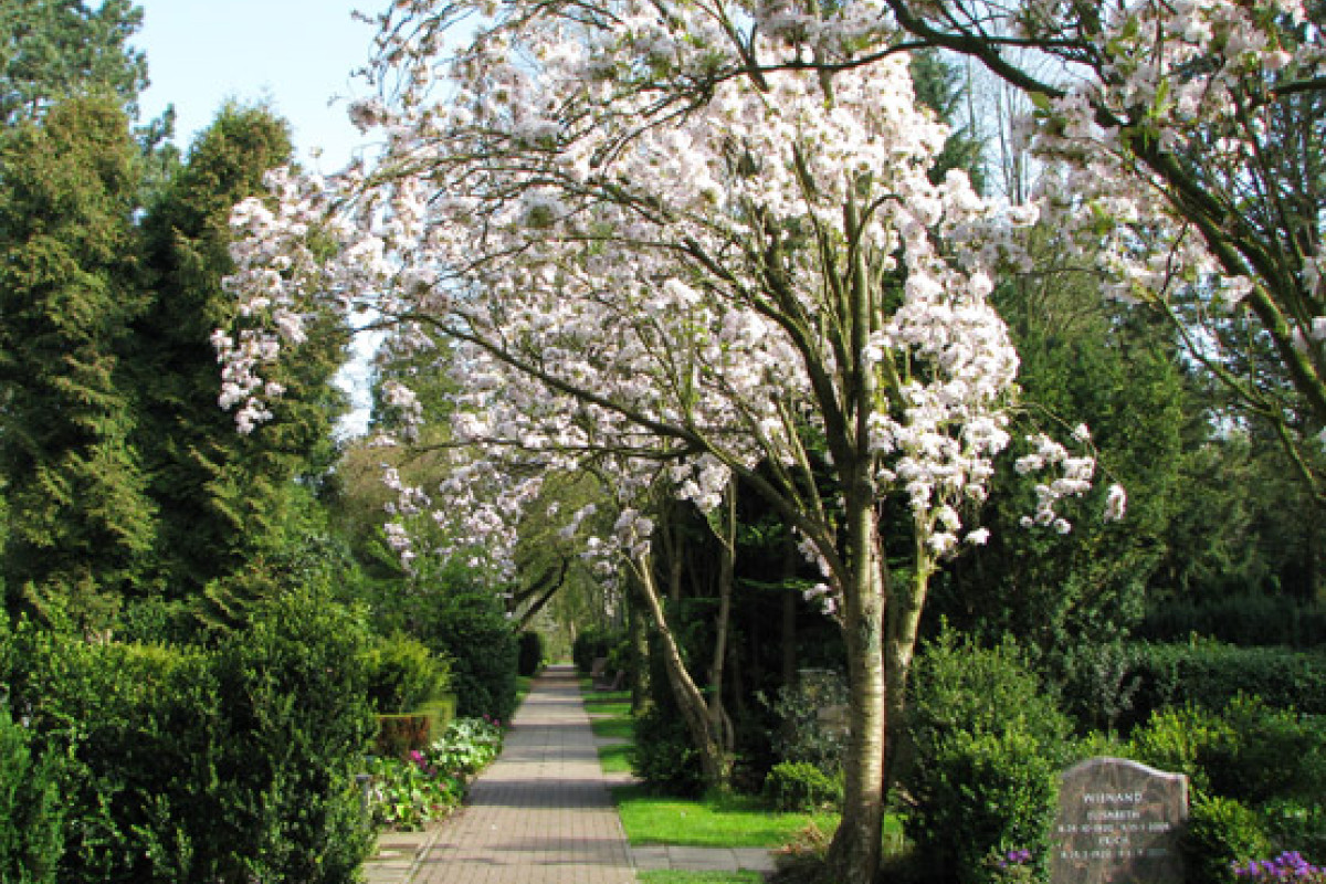 friedhof1